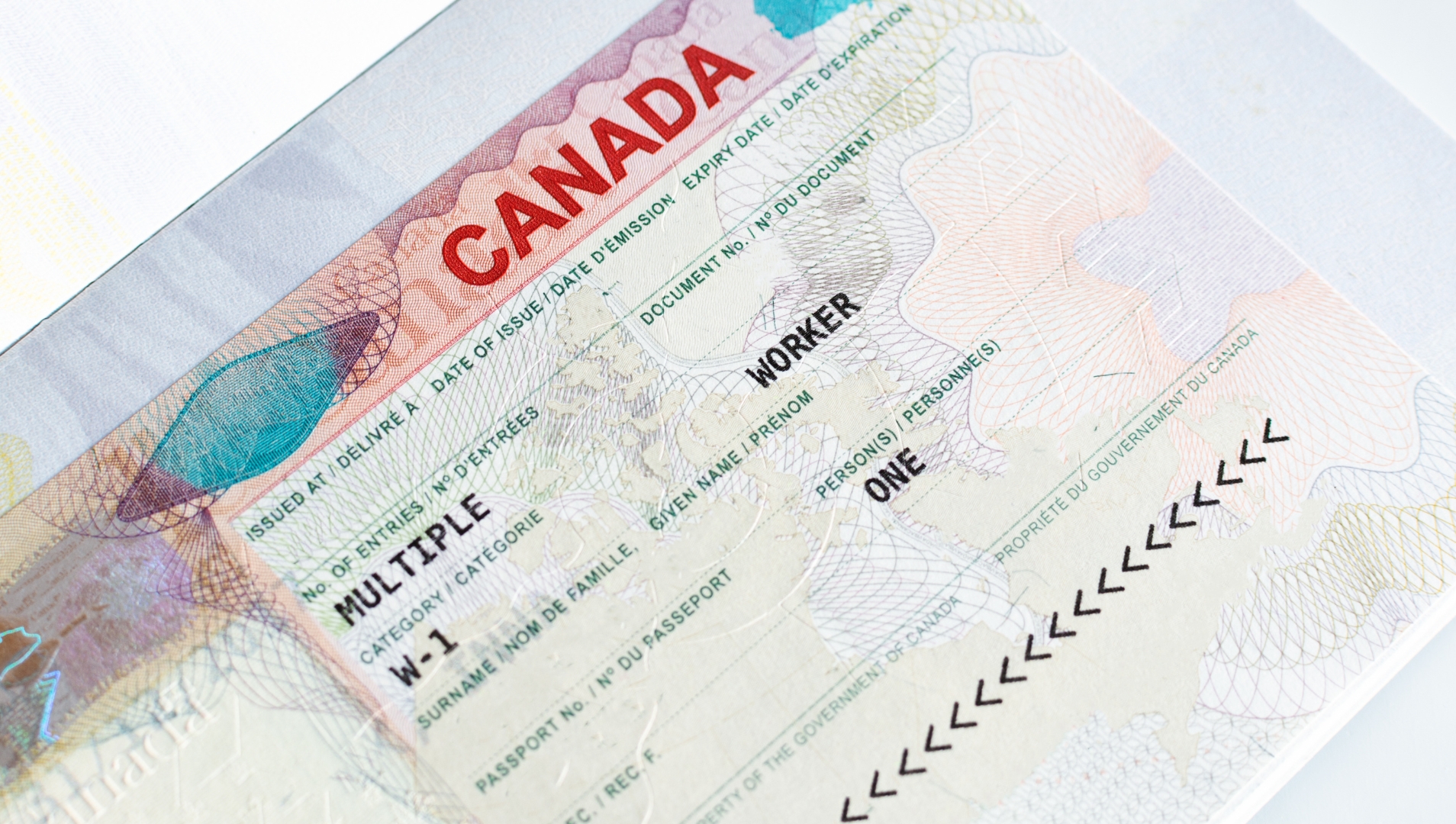 Tạm ngưng cấp Open Work Permit cho các diện phụ thuộc