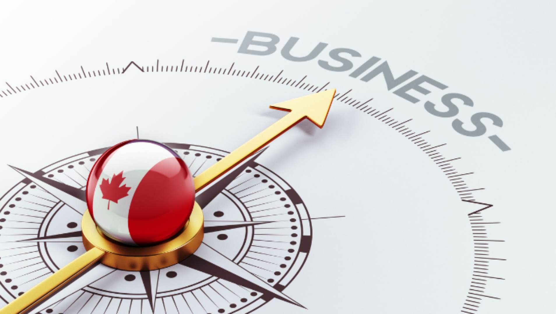 Cơ hội nhận thẻ thường trú nhân cho gia đình thông qua chương trình Start-up Visa