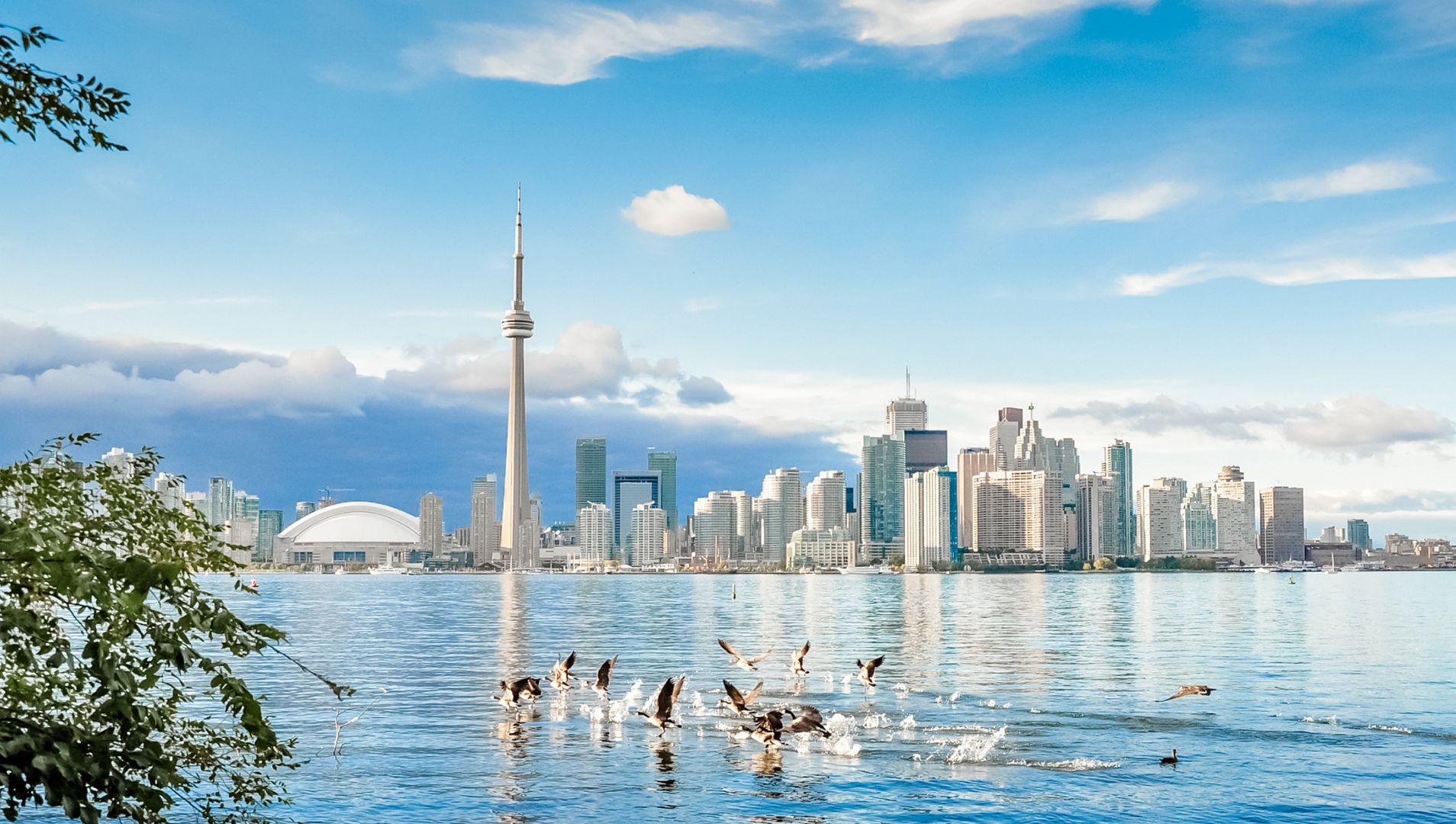 đề cử tỉnh bang british columbia