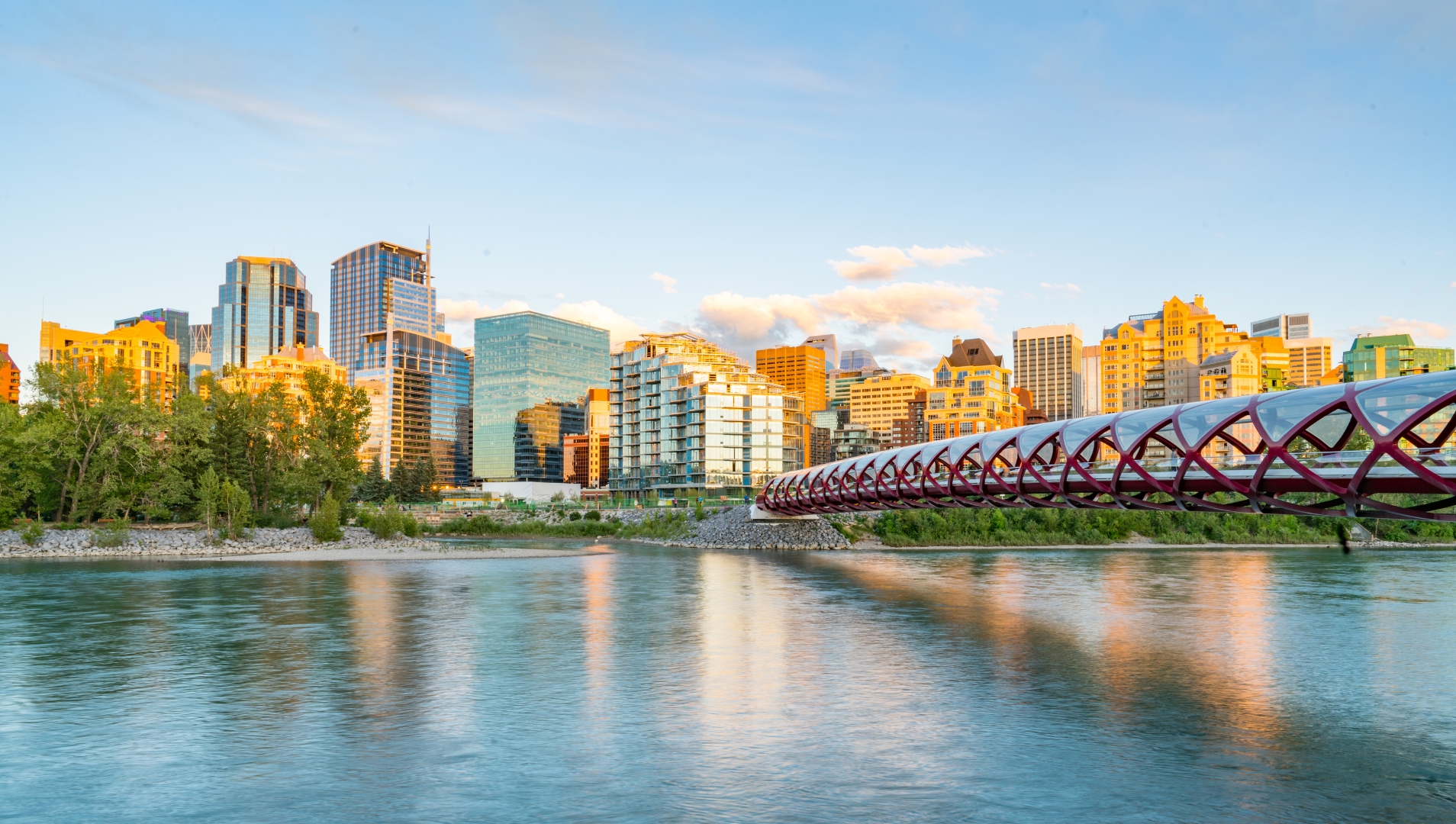 đề cử tỉnh bang Alberta