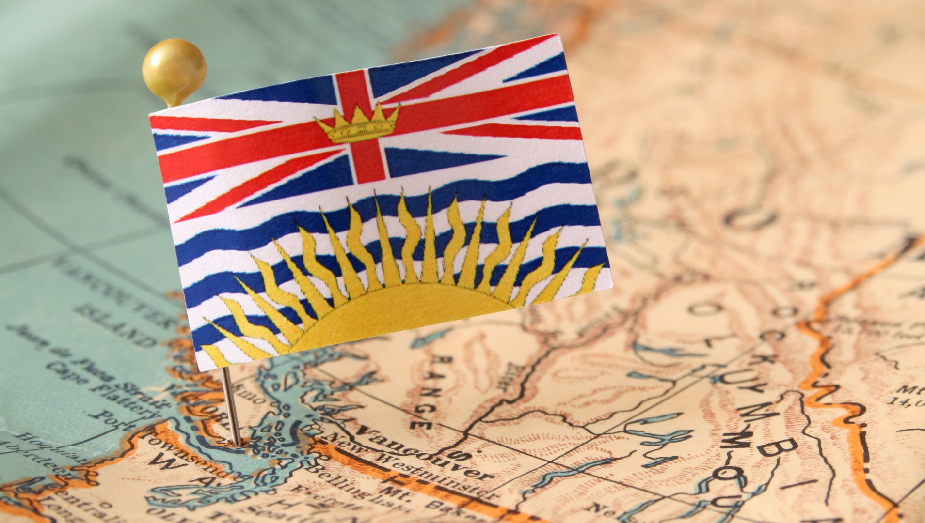 doanh nhân tỉnh bang british columbia