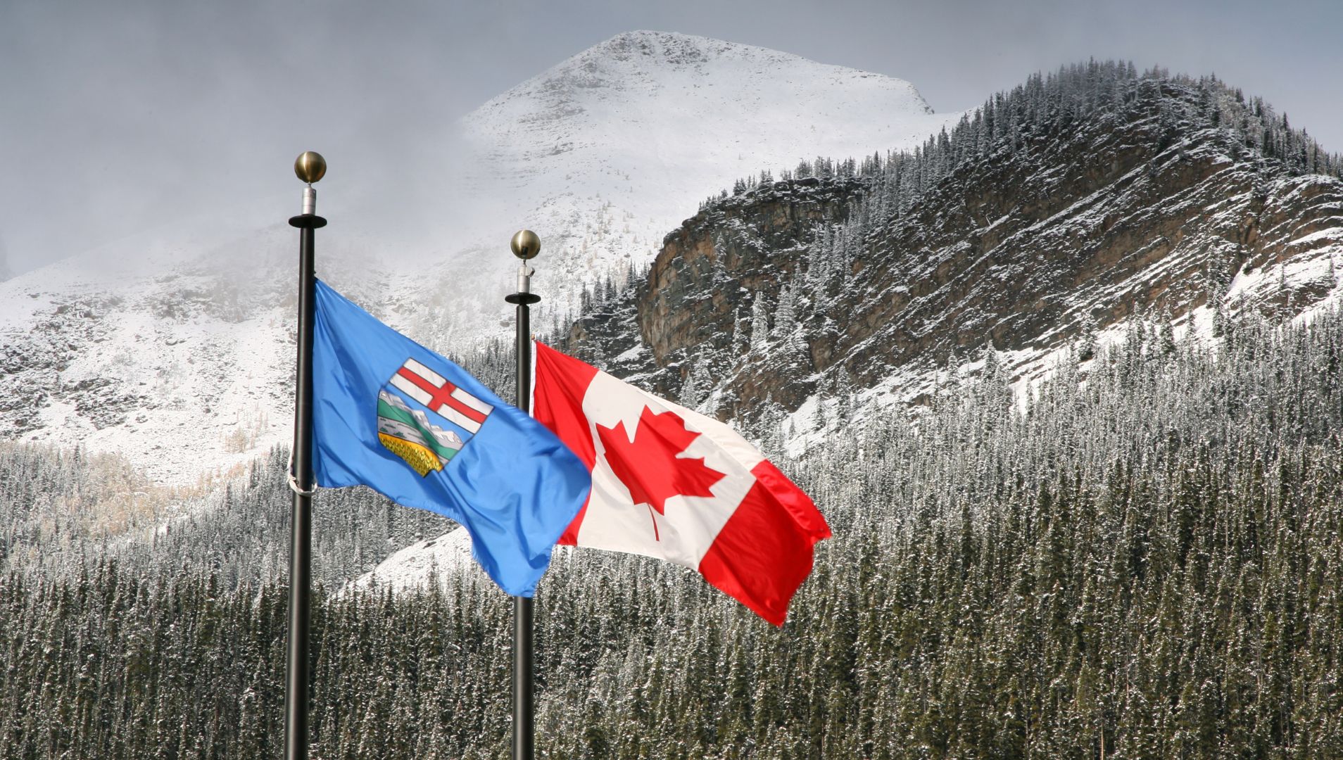 Vì sao Alberta tiếp tục ưu tiên lao động quốc tế?