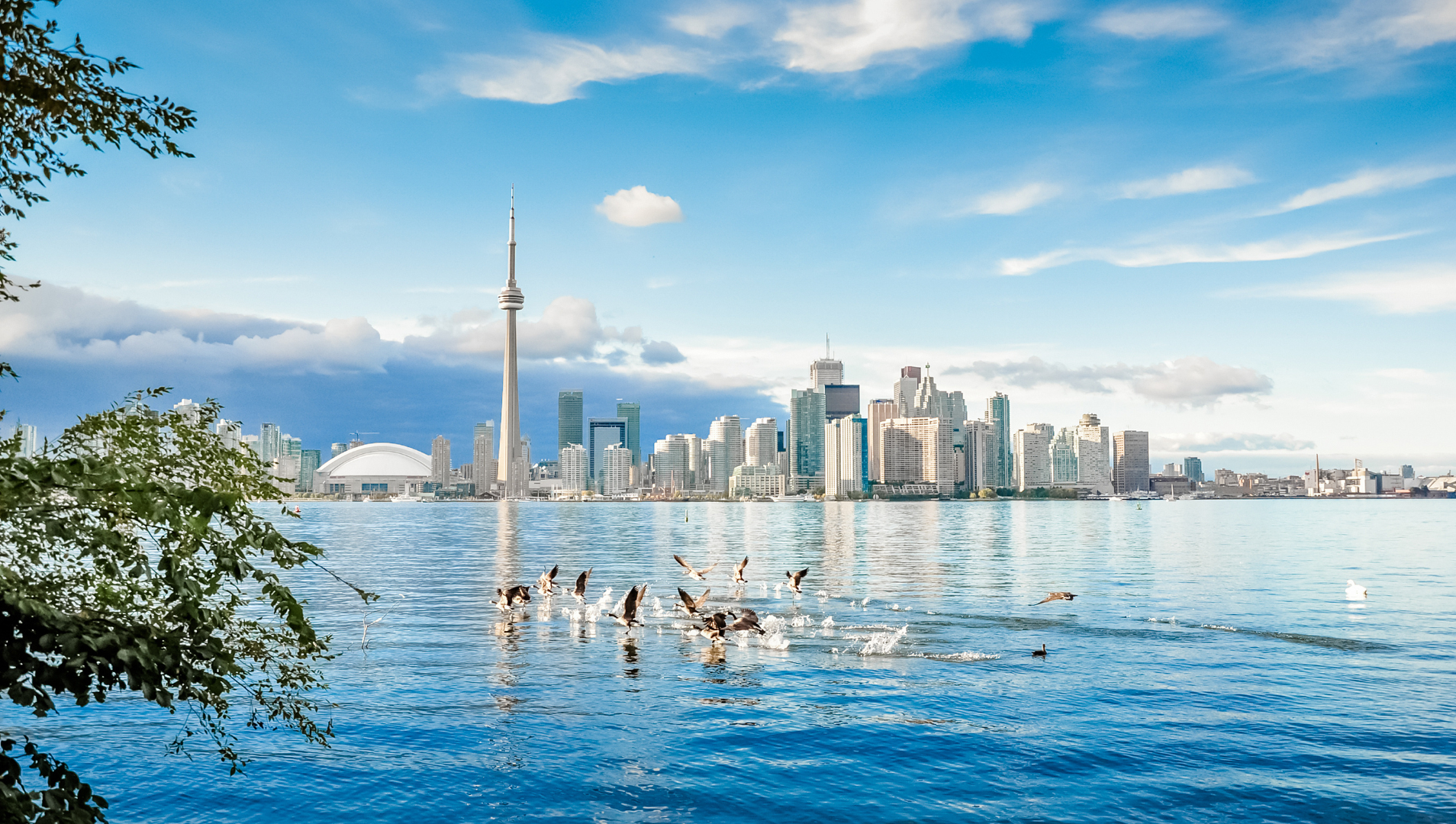 chương trình mới của canada